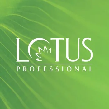 Home Lotus Professional Logo